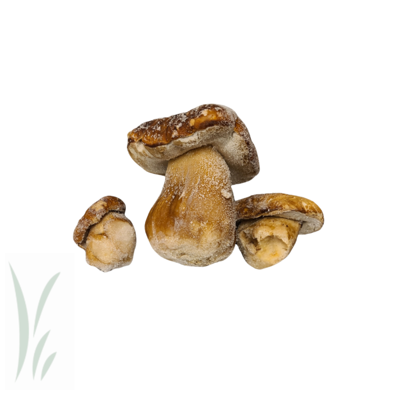 Mikuni Wild Harvest: Frozen Porcini Mushrooms / 2lb